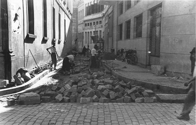 03978.jpg